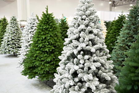 © Sergey Ryzhov - Fotolia.com © Sergey Ryzhov - Fotolia.com