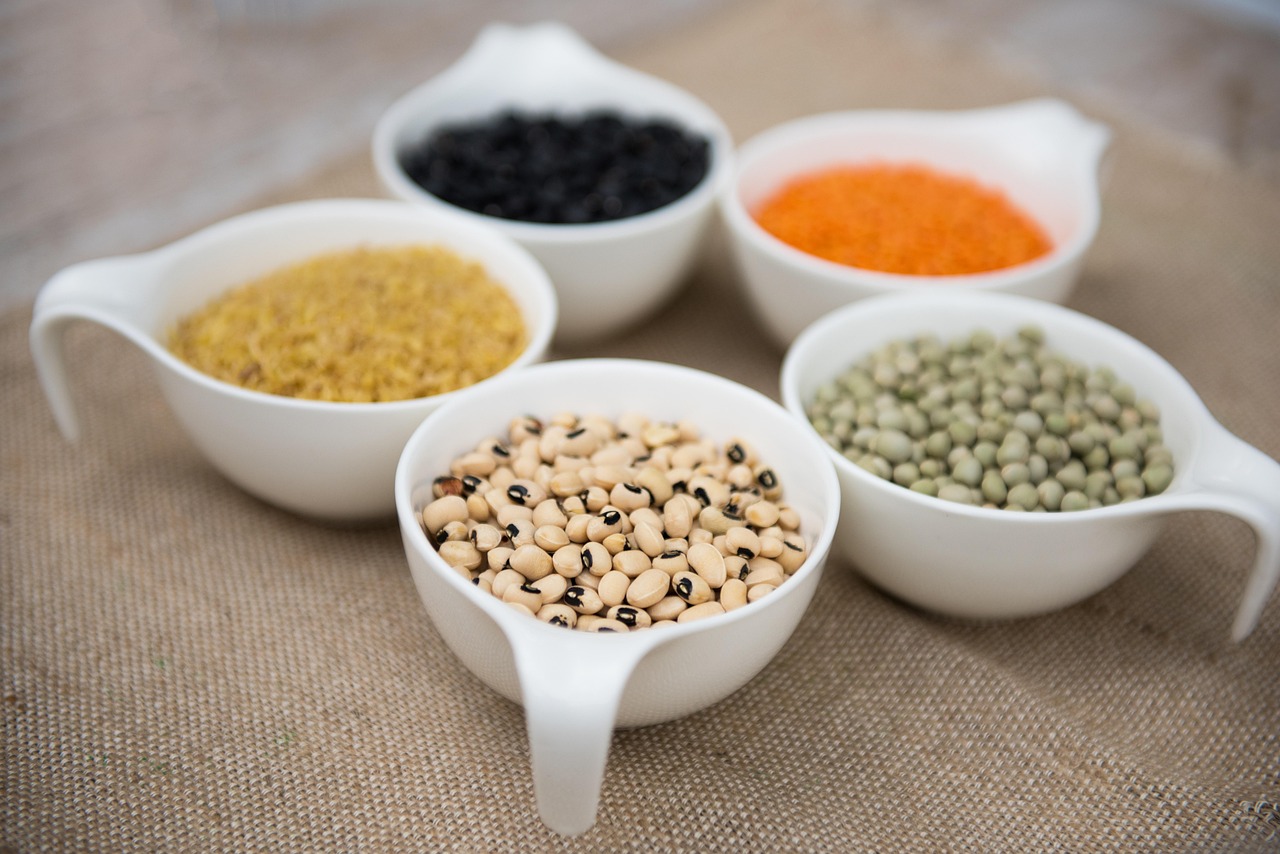 Jaka dieta rolinna przedua ycie [fot. yilmazfatih from Pixabay]
