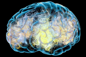 Ju jedno wstrznienie mzgu zwiksza ryzyko choroby Parkinsona [Fot. Naeblys - Fotolia.com]