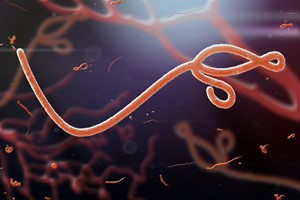 Ju jest szczepionka na wirus Ebola! [Ebola, © jaddingt - Fotolia.com]