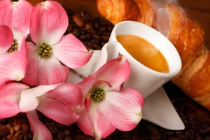© tesgro - Fotolia.com © tesgro - Fotolia.com