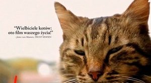 fot. Kedi