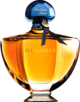 Klasyczne perfumy wciąż popularne Klasyczne perfumy wciąż popularne