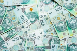 Kobiety maj dugi w firmach poyczkowych, a mczyni w bankach [Fot. ekaterina729 - Fotolia.com]