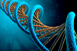 Kod DNA pomoe znale idealnego partnera [© 4designersart - Fotolia.com]