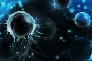 Komórki macierzyste nadzieją dla chorych na Parkinsona  [© 290712 - Fotolia.com]