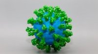 Koronawirus: SARS-CoV-2 ma właściwości... przeciwbólowe?