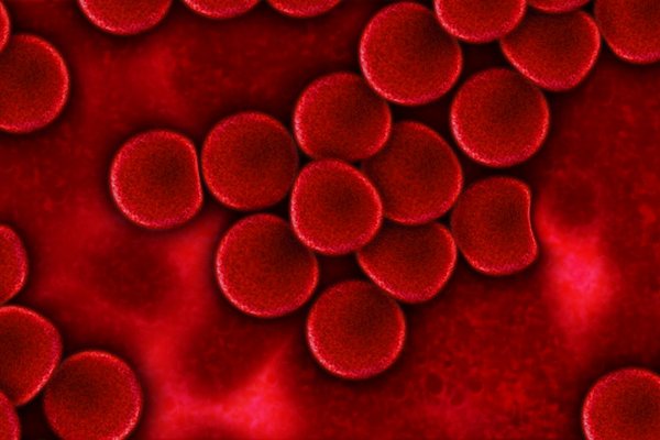 Koronawirus: grupa krwi a ryzyko infekcji  [fot. Gerd Altmann from Pixabay]