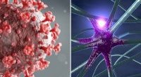 Koronawirus: infekcja może wywoływać chorobę Parkinsona