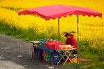 Kosmetyczny spadek bezrobocia - zaczy si prace sezonowe [© Ruben Joye - Fotolia.com]