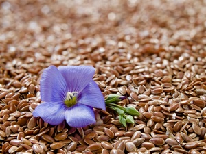 © Michael Hieber - Fotolia.com © Michael Hieber - Fotolia.com