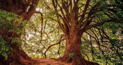 Ludzie s stworzeni do ycia w naturze, industrializacja im nie suy...