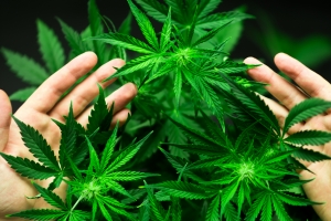 Marihuana pomaga na łuszczycę i egzemę? [Fot. cendeced - Fotolia.com]