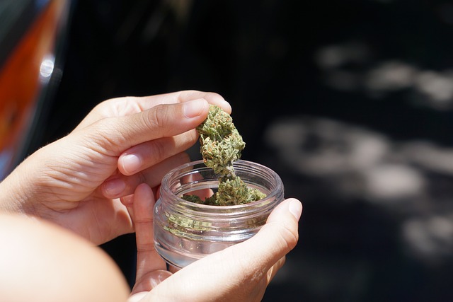 Marihuana zwiększa ryzyko zawału [fot. Elsa Olofsson from Pixabay]