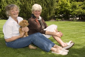 Masz psa? Zapewniasz sobie lepsze zdrowie w starszym wieku [© Barbara Helgason - Fotolia.com]