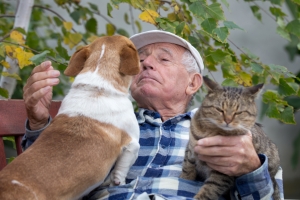 Masz w domu zwierzaka? Poyjesz duej i w lepszym zdrowiu [Fot. Budimir Jevtic - Fotolia.com]