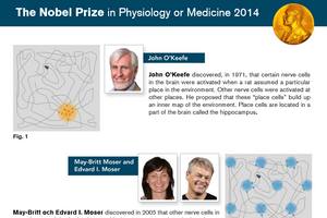 Medyczny Nobel 2014 - John O'Keefe, May-Britt Moser i Edvard Moser [fot. nobelprize.org]