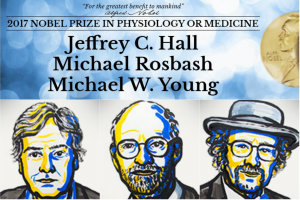 Jeffrey C. Hall, Michael Rosbash i Michael W. Young, fot. nobelprize.org