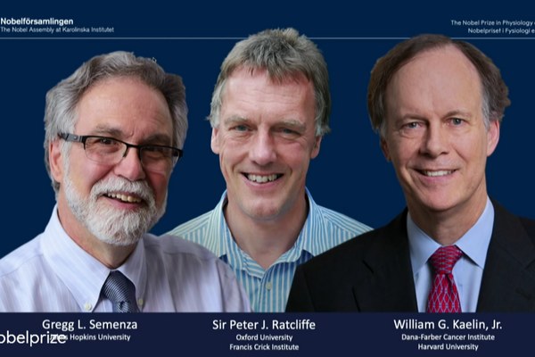 fot. William G. Kaelin Jr., Sir Peter J. Ratcliffe i Gregg L. Semenza / nobelprize.org