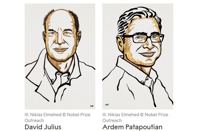 Medyczny Nobel 2021: za odkrycie receptorw temperatury i dotyku [fot. NoblePrize]