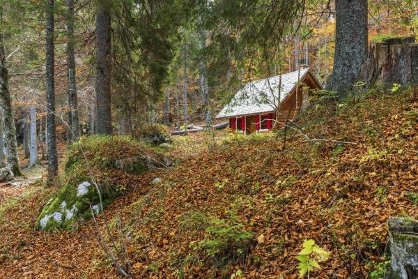 Miejsce zamieszkania ma znaczenie dla zdrowia. yjesz blisko natury? Moesz liczy na zdrowe srce [Fot. Nicola Simeoni - Fotolia.com]