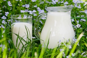 Mleko pomaga zadba o zdrowie zbw [© oksix - Fotolia.com]