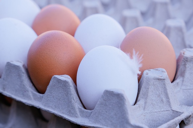 Moesz bezpiecznie je jajka, nie zwiksz poziomu zego cholesterolu [fot. Couleur from Pixabay]