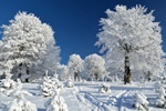 Mrozy we Wschodniej Europie. Ronie liczba ofiar [©  razvanmatei - Fotolia.com]