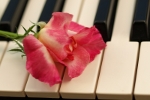 Muzyka agodzi bl [© Irina Boucher - Fotolia.com]