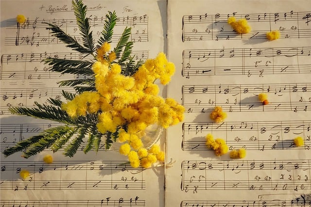 Muzyka w yciu seniorw - poprawia nastrj i wspiera zdrowie psychiczne [fot.  Van3ssa 🩺🎵 Desiré 🙏 Dazzy 🎹 from Pixabay]