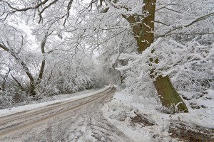 Nadchodz mrozy [© Rüdiger Niemann - Fotolia.com]