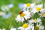 © K.-U. Häßler - Fotolia.com © K.-U. Häßler - Fotolia.com