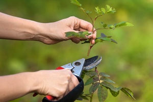 Narzdzia pod kontrol. Niebezpieczne motki [© rodimovpavel - Fotolia.com]