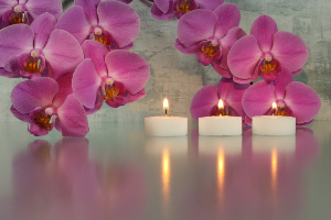 © Bernd S. - Fotolia.com © Bernd S. - Fotolia.com