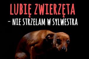 Nie strzelam w Sylwestra 2016/2017! [fot. VIVA]