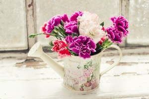 Nie tylko „kwiatek dla Ewy”. Godzik powraca do ask [© daffodilred - Fotolia.com]