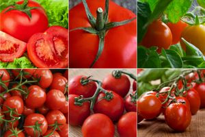 Niezwykłe zastosowania pomidorów [fot. collage Senior.pl]