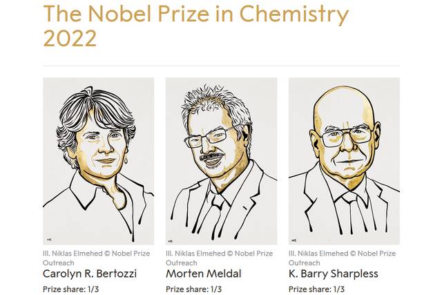 Nobel z chemii 2022 za ułatwienie budowania skomplikowanych cząstek [fot. Nobel Prize Outreach]