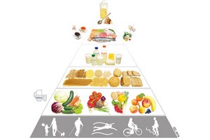 Nowa piramida żywienia [fot. IŻŻ]