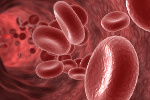 Nowa strategia: naukowcy przyspieszaj dojrzewanie naczy krwiononych [© norman blue - Fotolia.com]