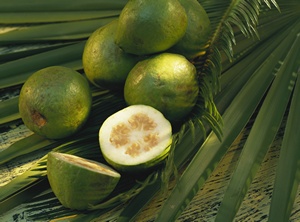 © superfood - Fotolia.com © superfood - Fotolia.com