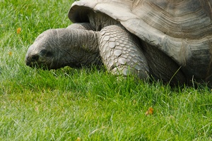 Oto czynniki, ktre decyduj o dugowiecznoci [© PHOTOERICK - Fotolia.com]