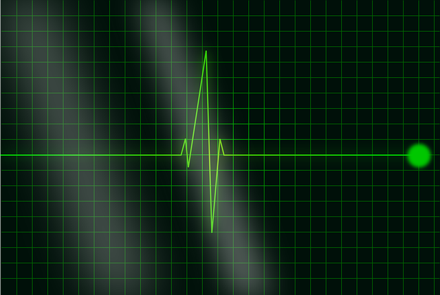Oznaki choroby serca mogÄ teÅź wskazywaÄ na raka [fot. Clker-Free-Vector-Images from Pixabay]