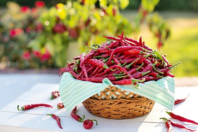Papryczki chili pomagą osłabić ból [fot. Jill Wellington from Pixabay]