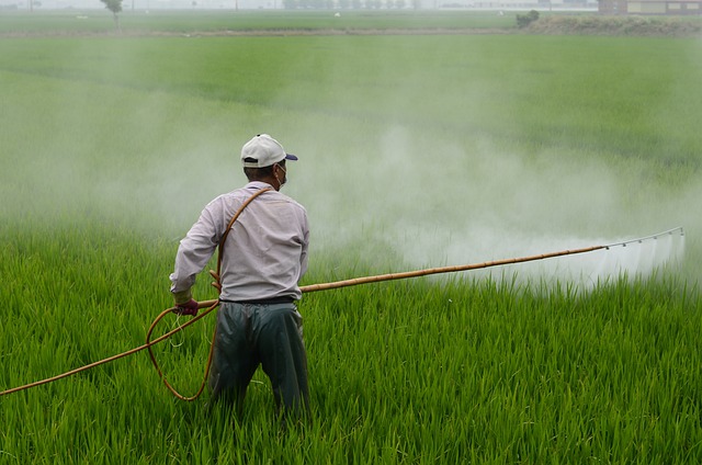 Pestycyd DDT sprzyja rozwojowi choroby Alzheimera [fot. zefe wu from Pixabay]