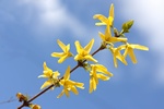 Pogoda na Wielkanoc: chodno i deszczowo [© barneyboogles - Fotolia.com]