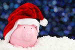 Polacy oszczdzaj, ale nie na witach [© viperagp - Fotolia.com]