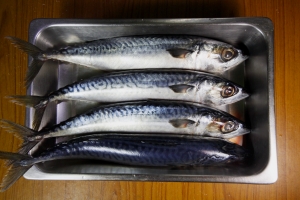 Polacy rezygnuj z jedzenia ryb [Fot. Thapakorn - Fotolia.com]