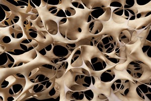 Polki o osteoporozie: "mnie to nie dotyczy" [Osteoporoza, © Sebastian Kaulitzki - Fotolia.com]
