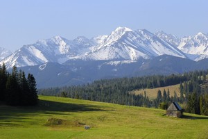 Polskie gry tasze ni rok temu [© Fotografik - Fotolia.com]